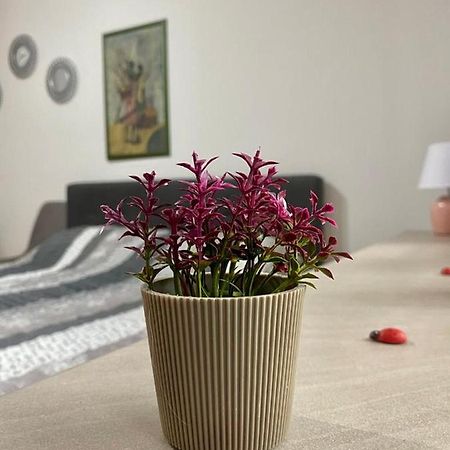 Cozy Apartment Ladybug, Сараево Экстерьер фото